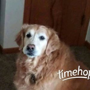 Meet your Posher, Jody